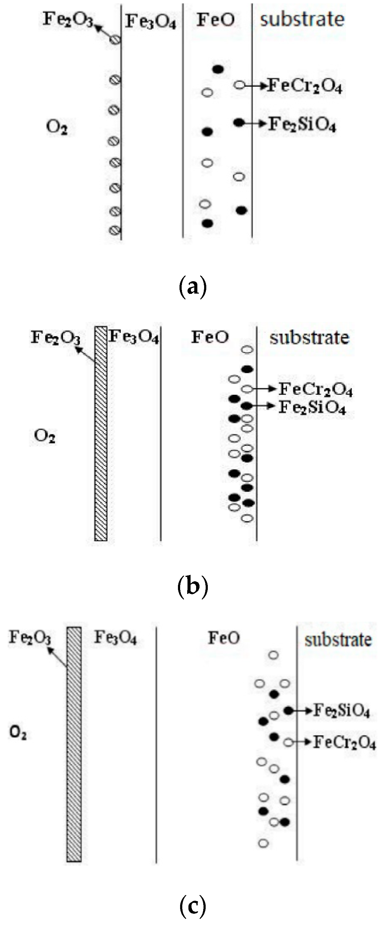 Materials 13 00509 g015