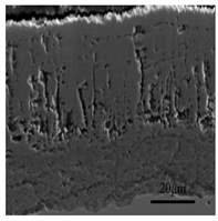 Materials 13 00509 i001