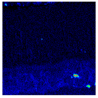 Materials 13 00509 i003