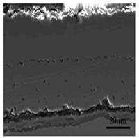 Materials 13 00509 i004