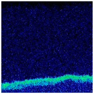 Materials 13 00509 i005