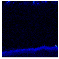 Materials 13 00509 i006