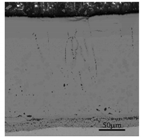 Materials 13 00509 i007