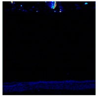 Materials 13 00509 i009