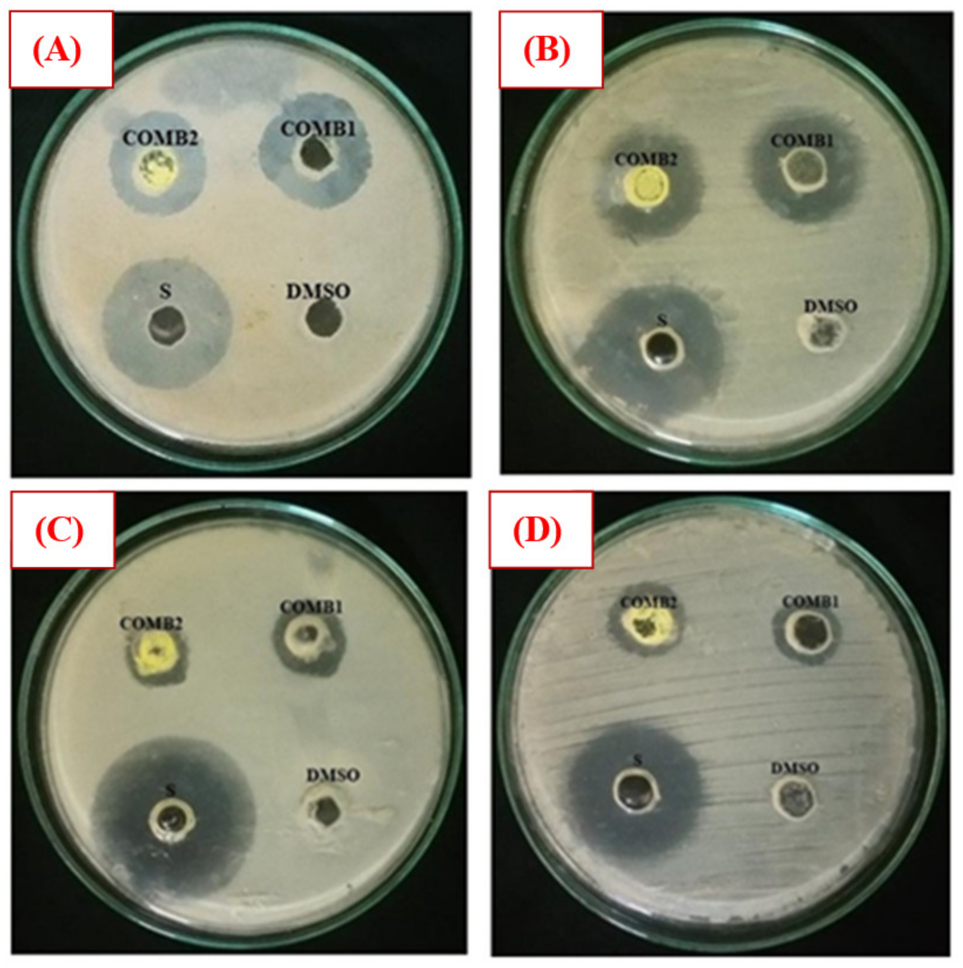 Materials 13 00514 g011