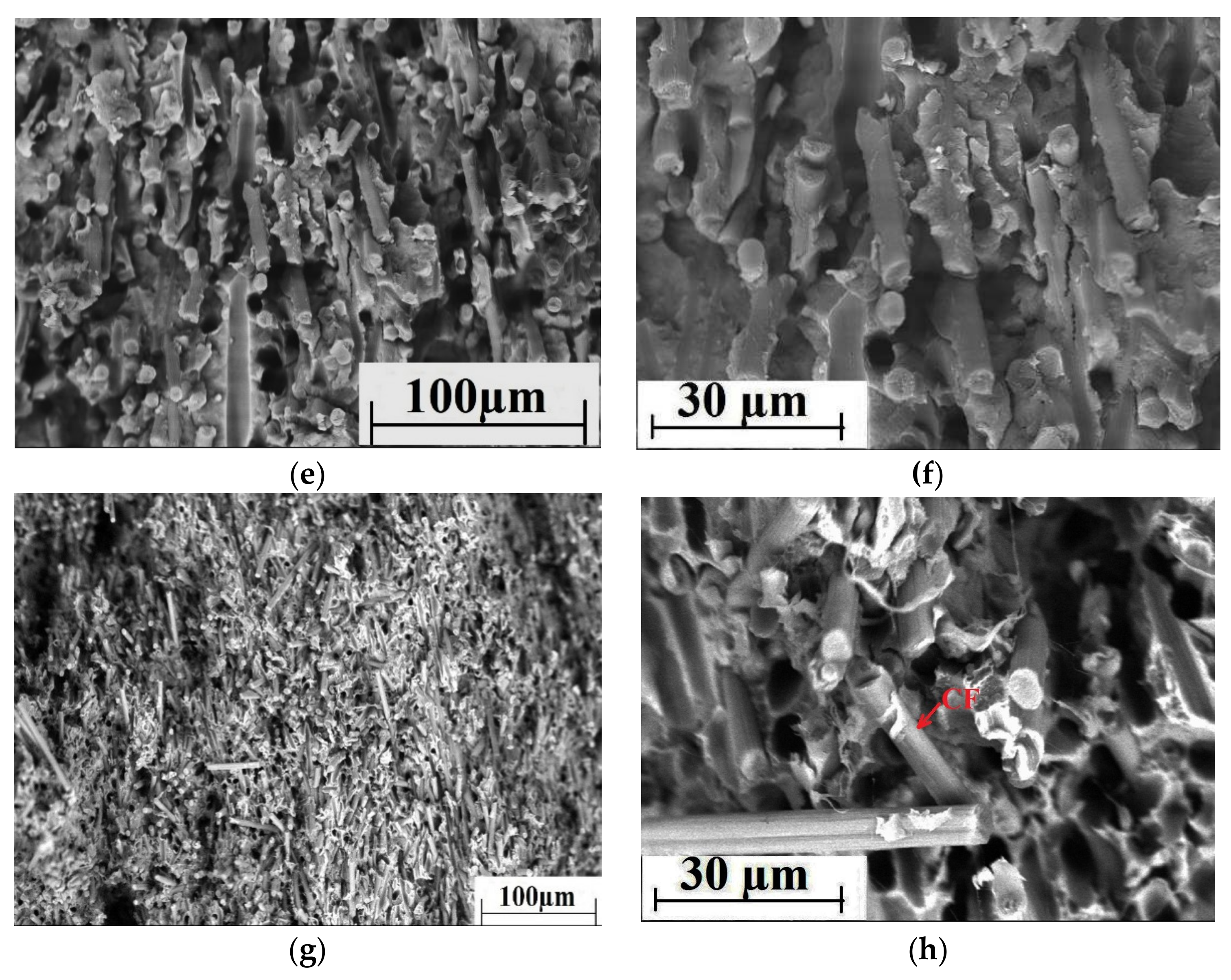 Materials 13 00524 g008b