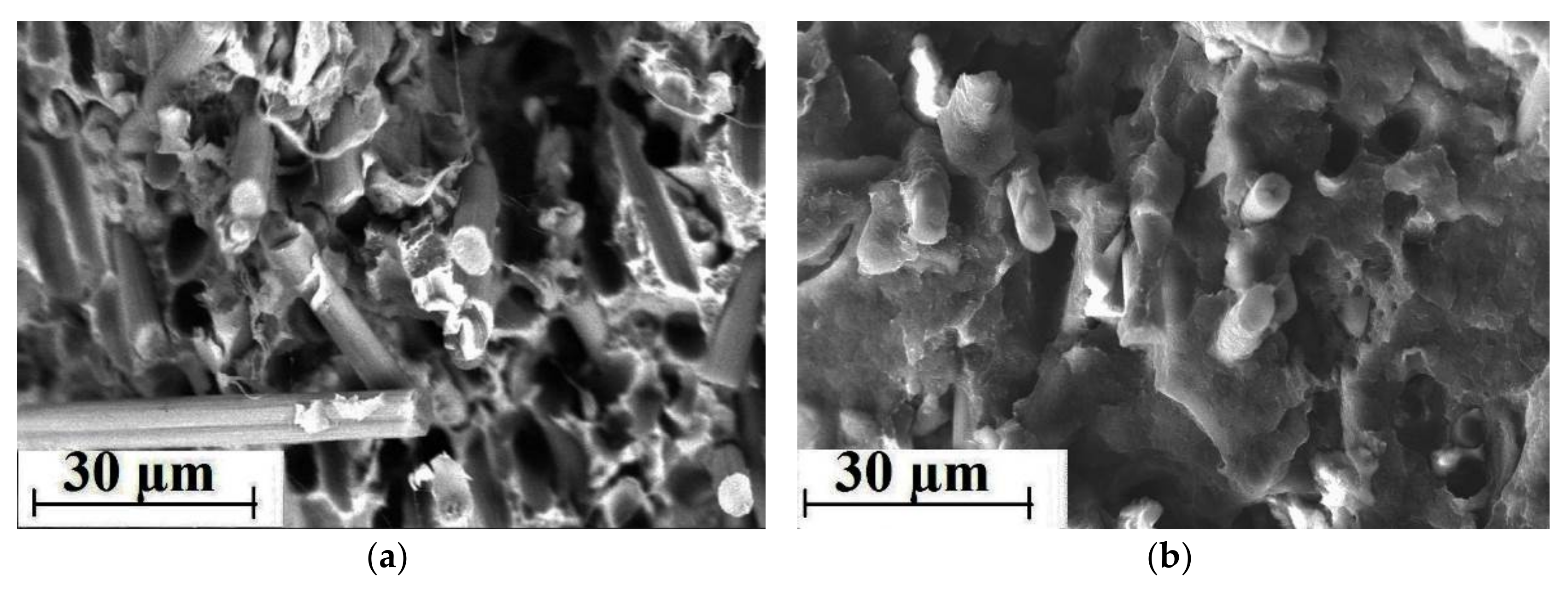 Materials 13 00524 g011