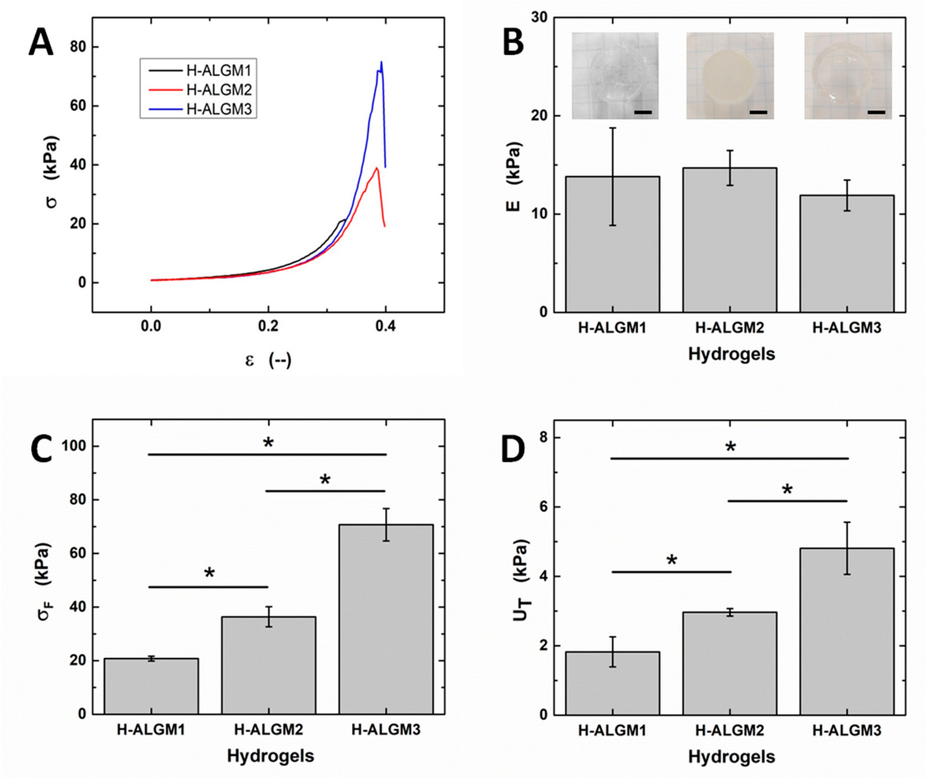 Materials 13 00534 g005