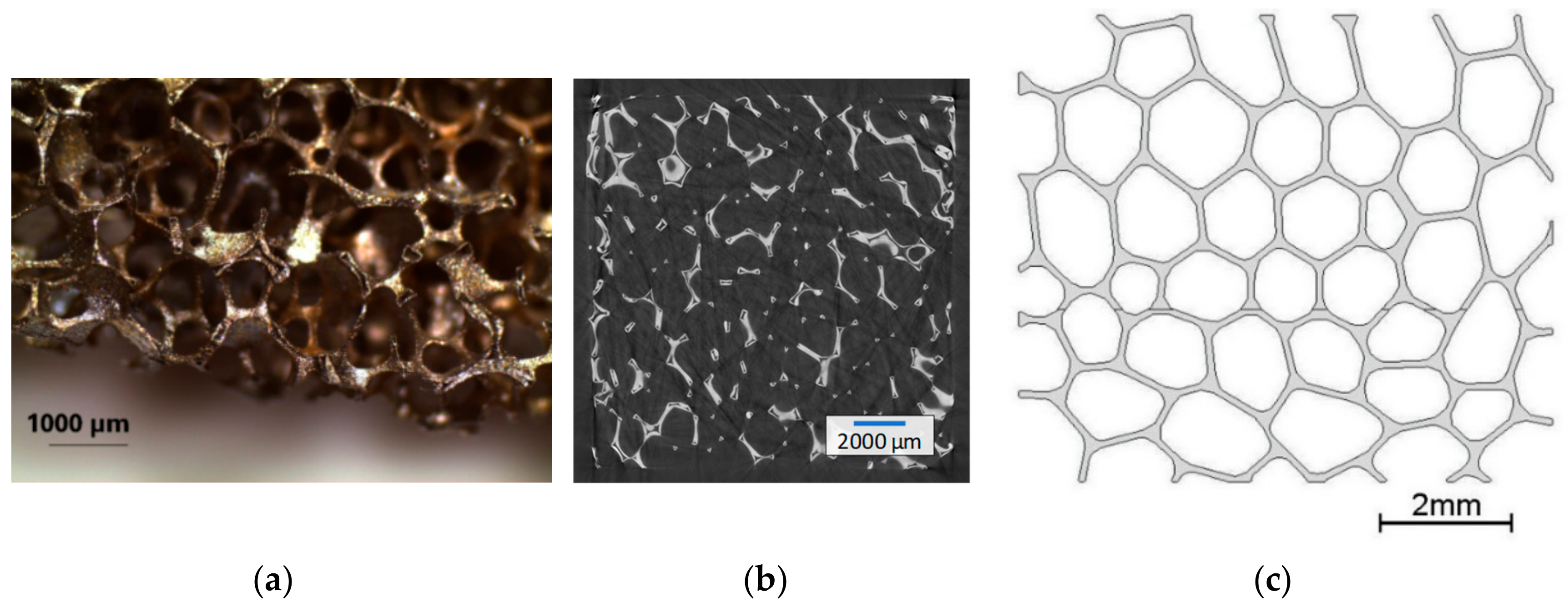Materials 13 00555 g002
