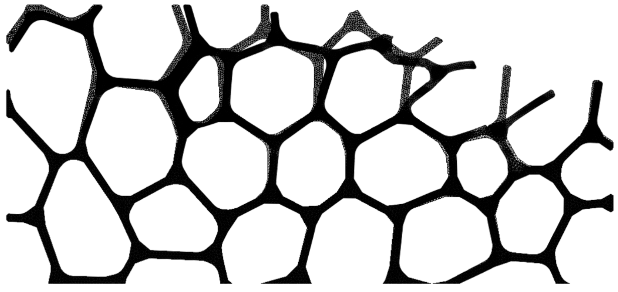 Materials 13 00555 g010