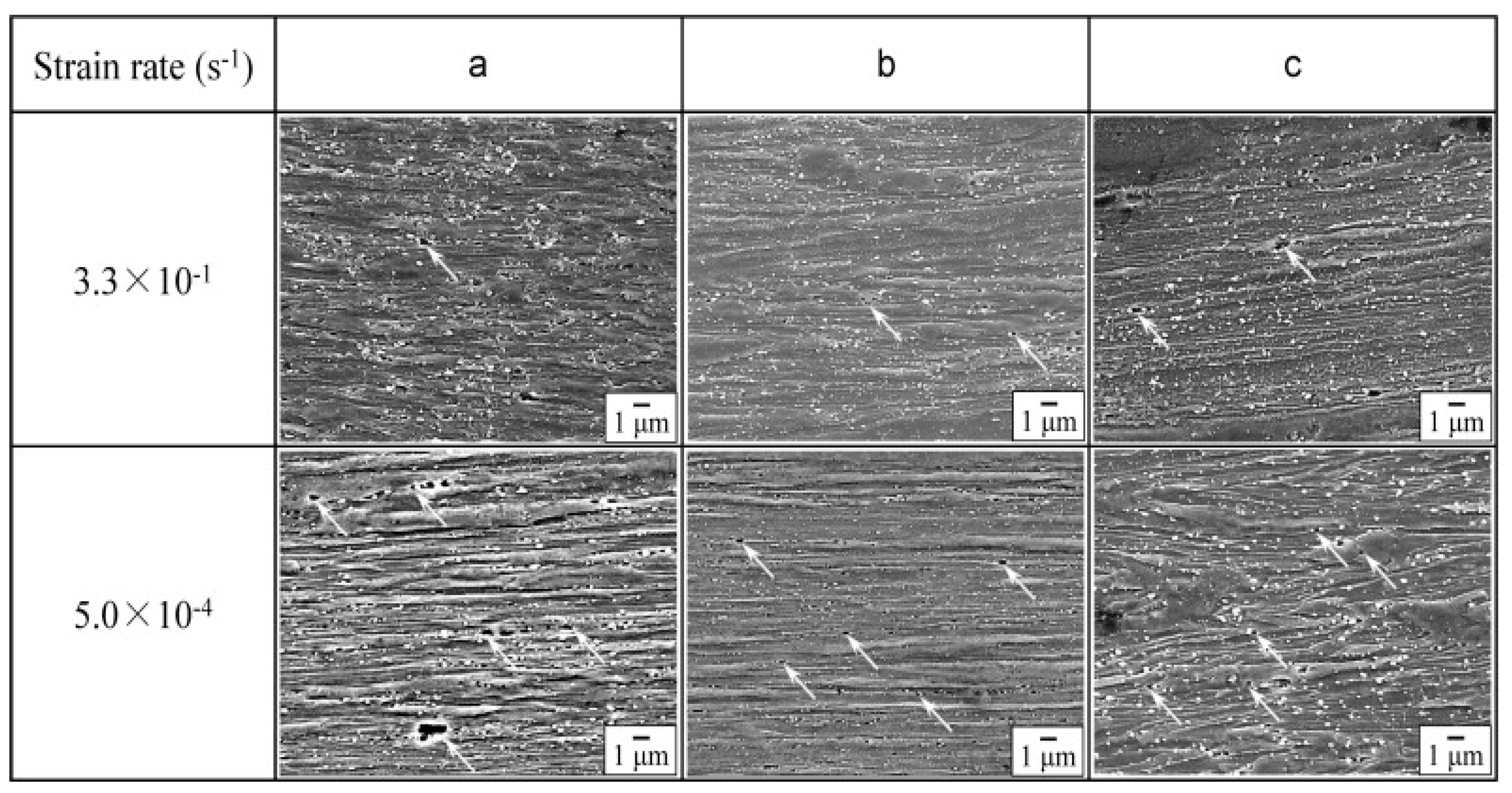 Materials 13 00556 g006