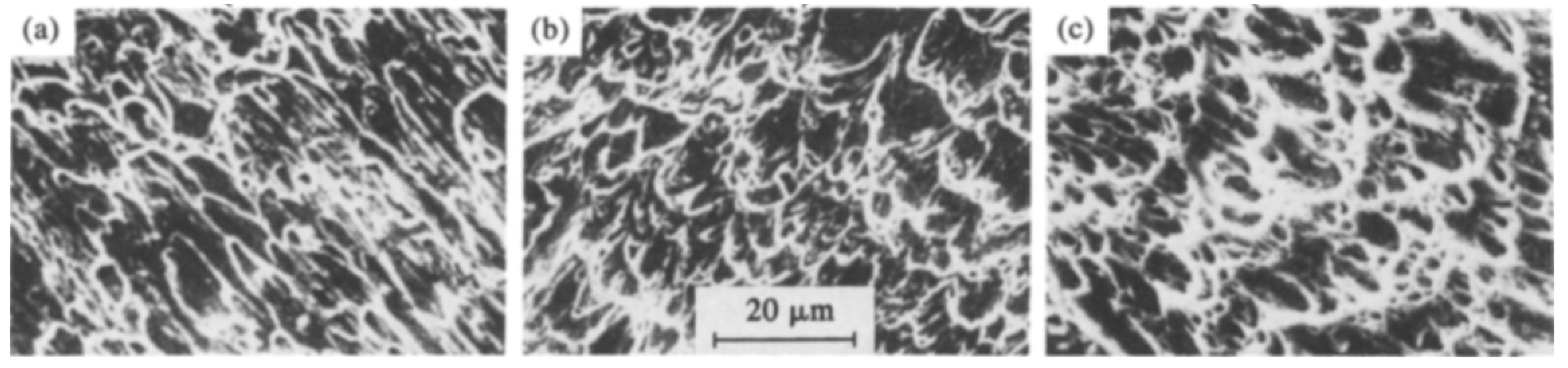 Materials 13 00556 g016