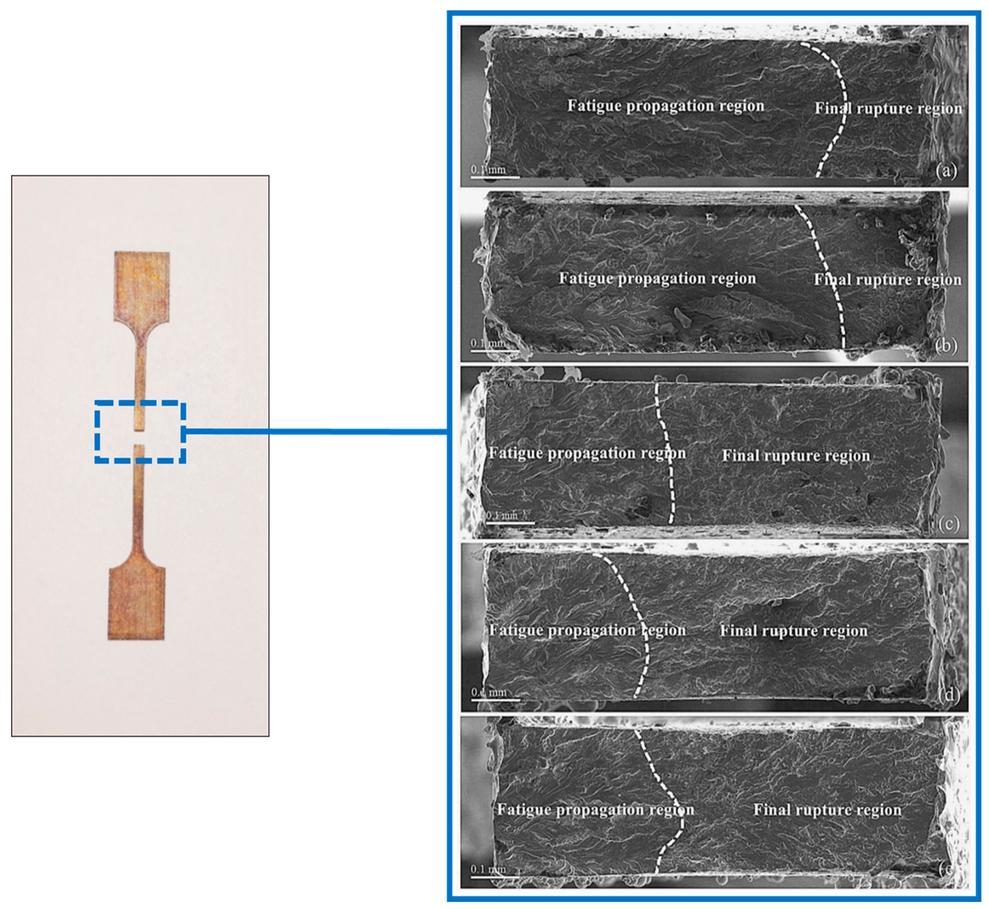 Materials 13 00573 g011