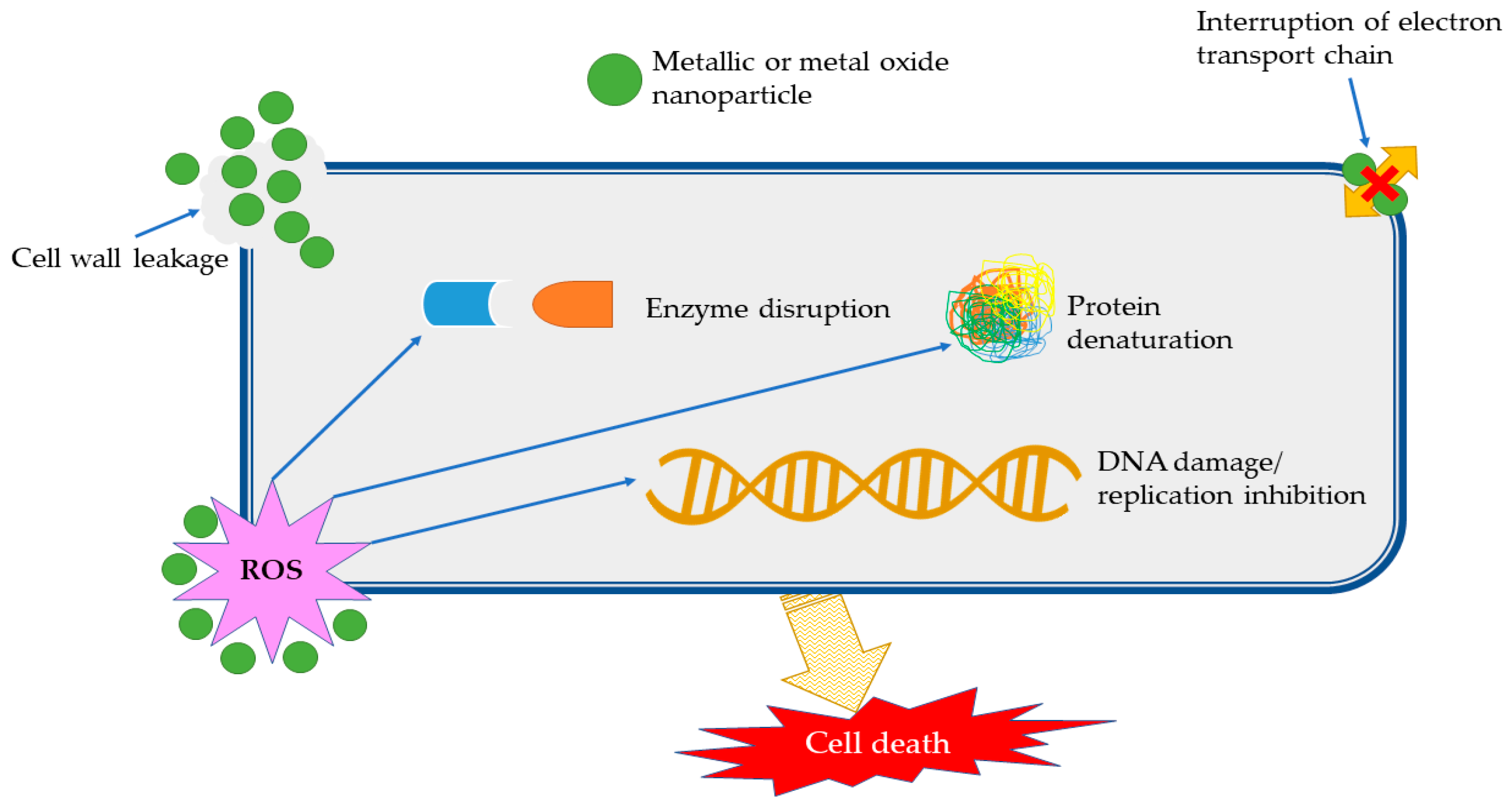 Materials 13 00574 g002