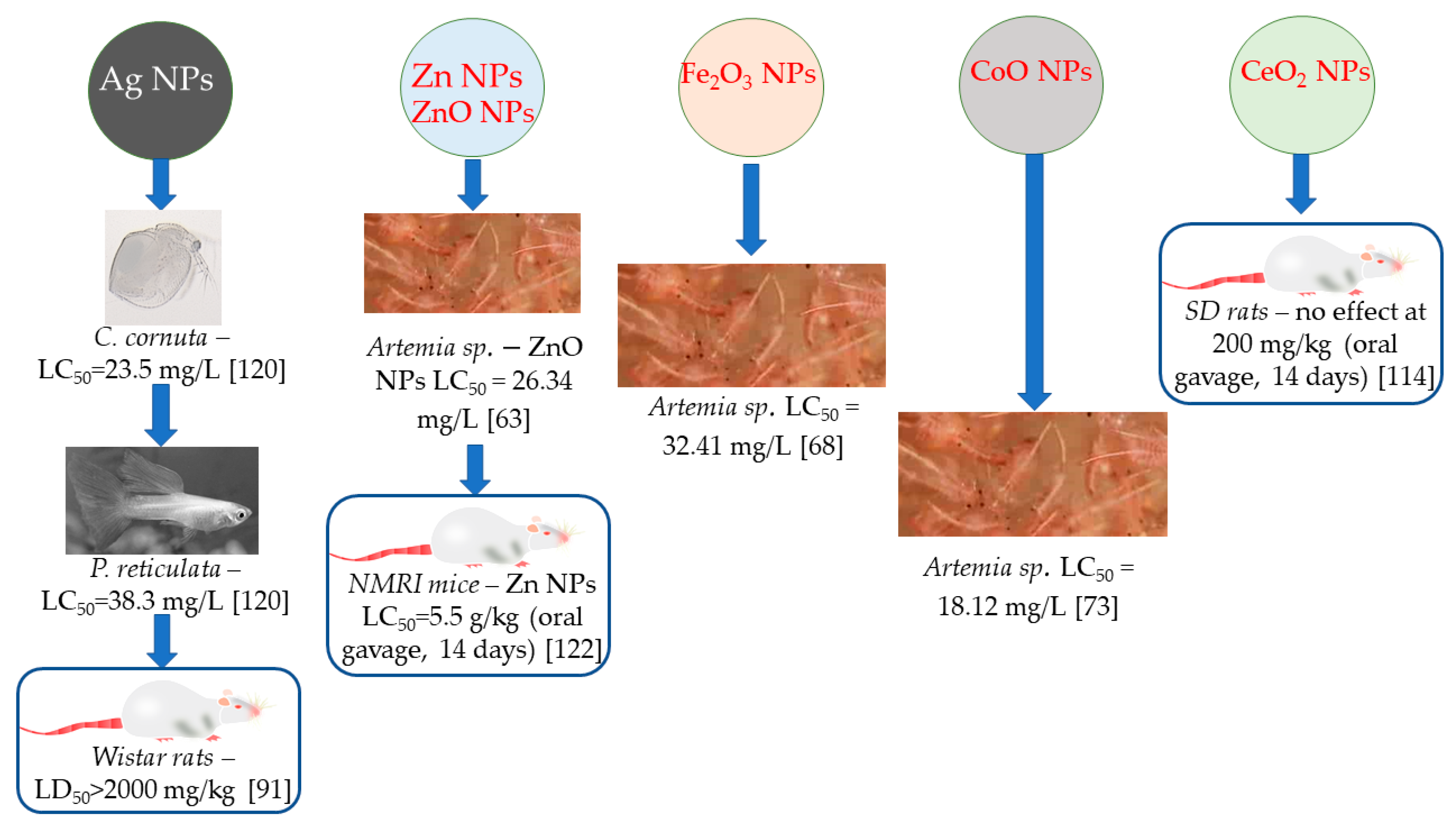 Materials 13 00574 g005