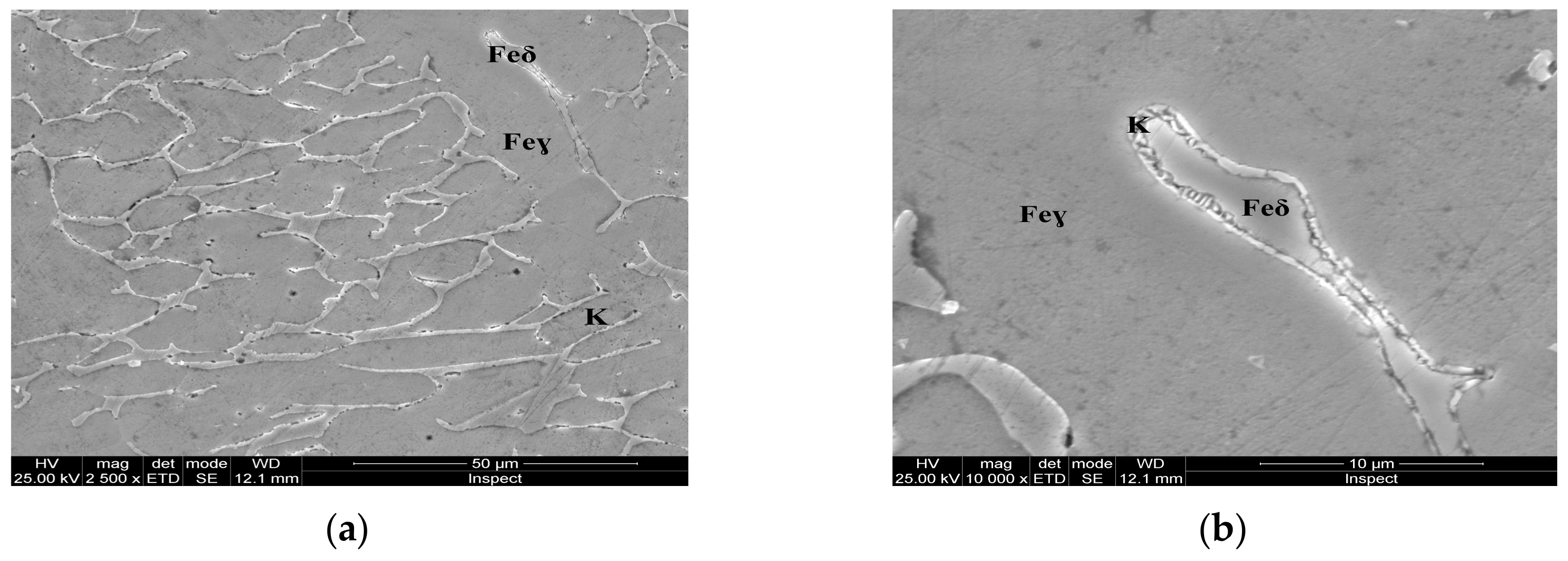 Materials 13 00581 g005 Materials 13 00581 g005