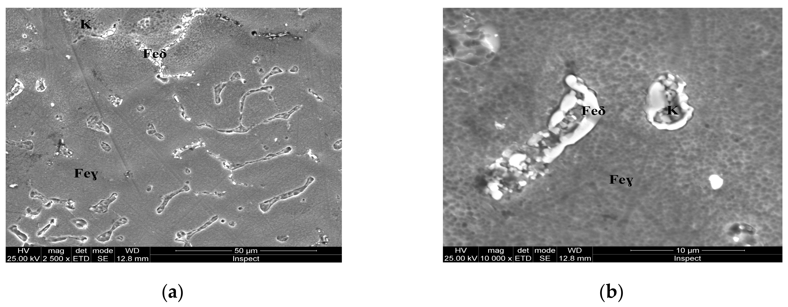 Materials 13 00581 g007 Materials 13 00581 g007