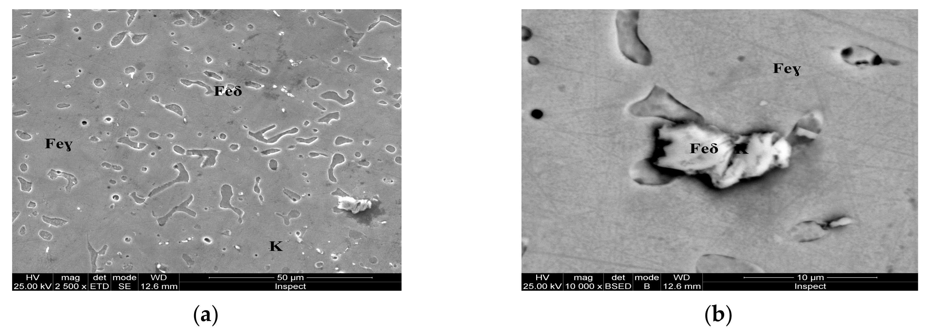 Materials 13 00581 g008 Materials 13 00581 g008