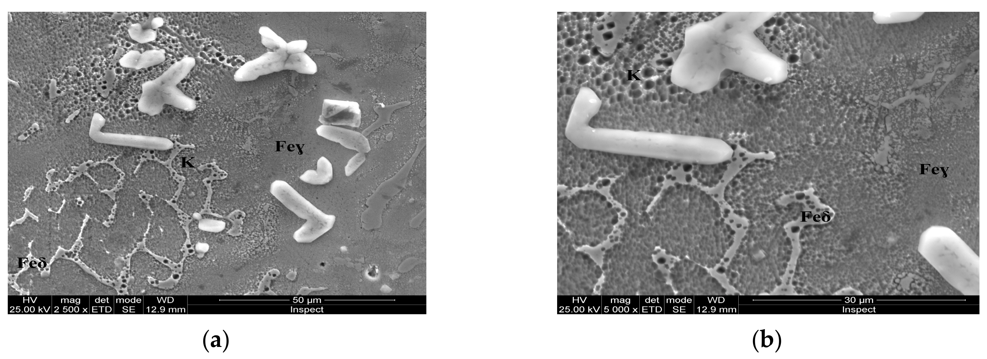 Materials 13 00581 g009 Materials 13 00581 g009