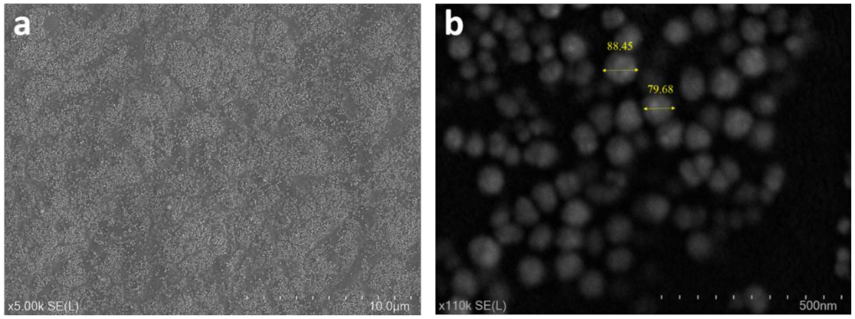 Materials 13 00586 g006