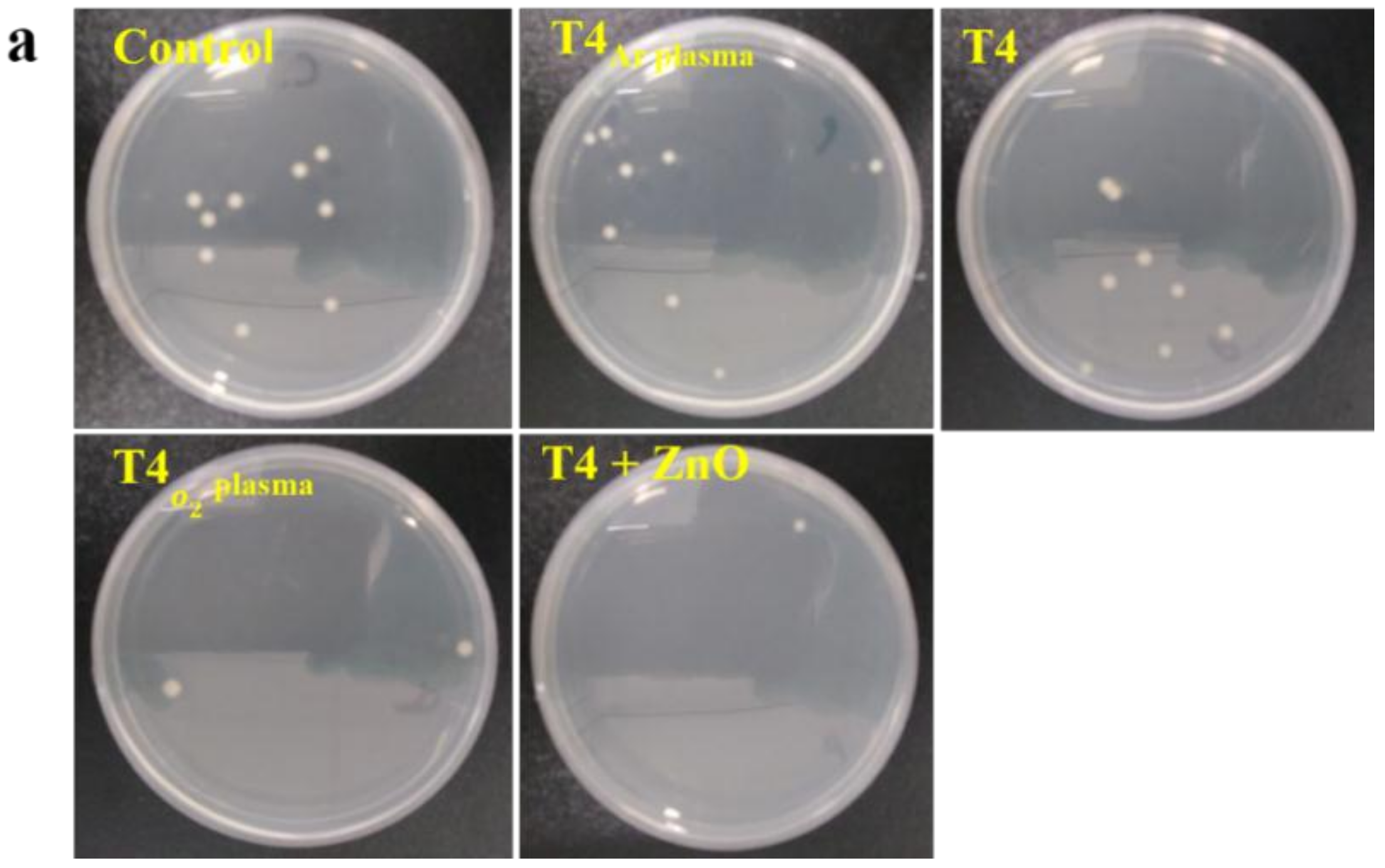 Materials 13 00586 g009a