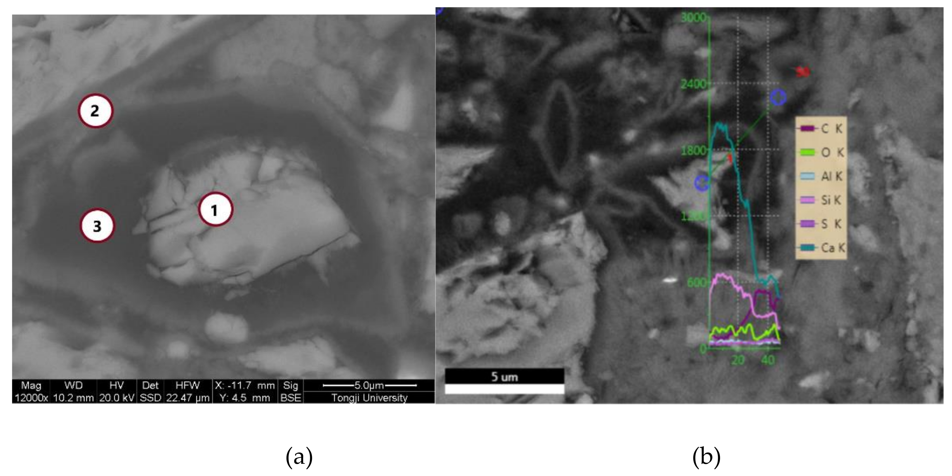 Materials 13 00589 g001