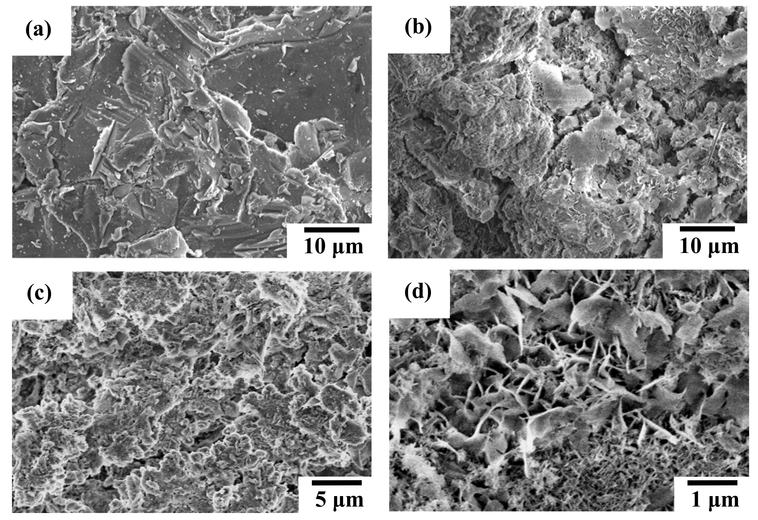 Materials 13 00591 g004 Materials 13 00591 g004