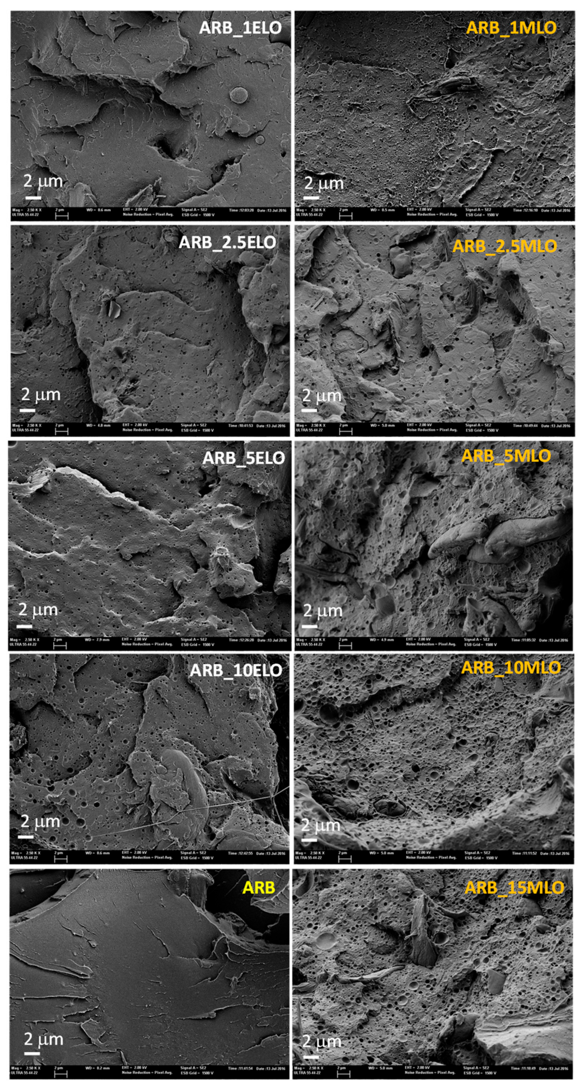 Materials 13 00600 g007