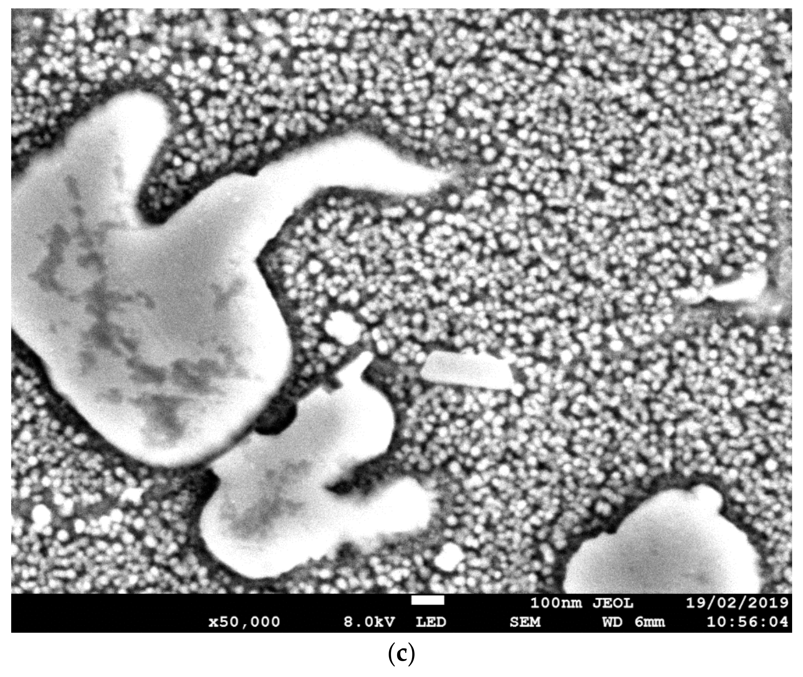 Materials 13 00601 g005b