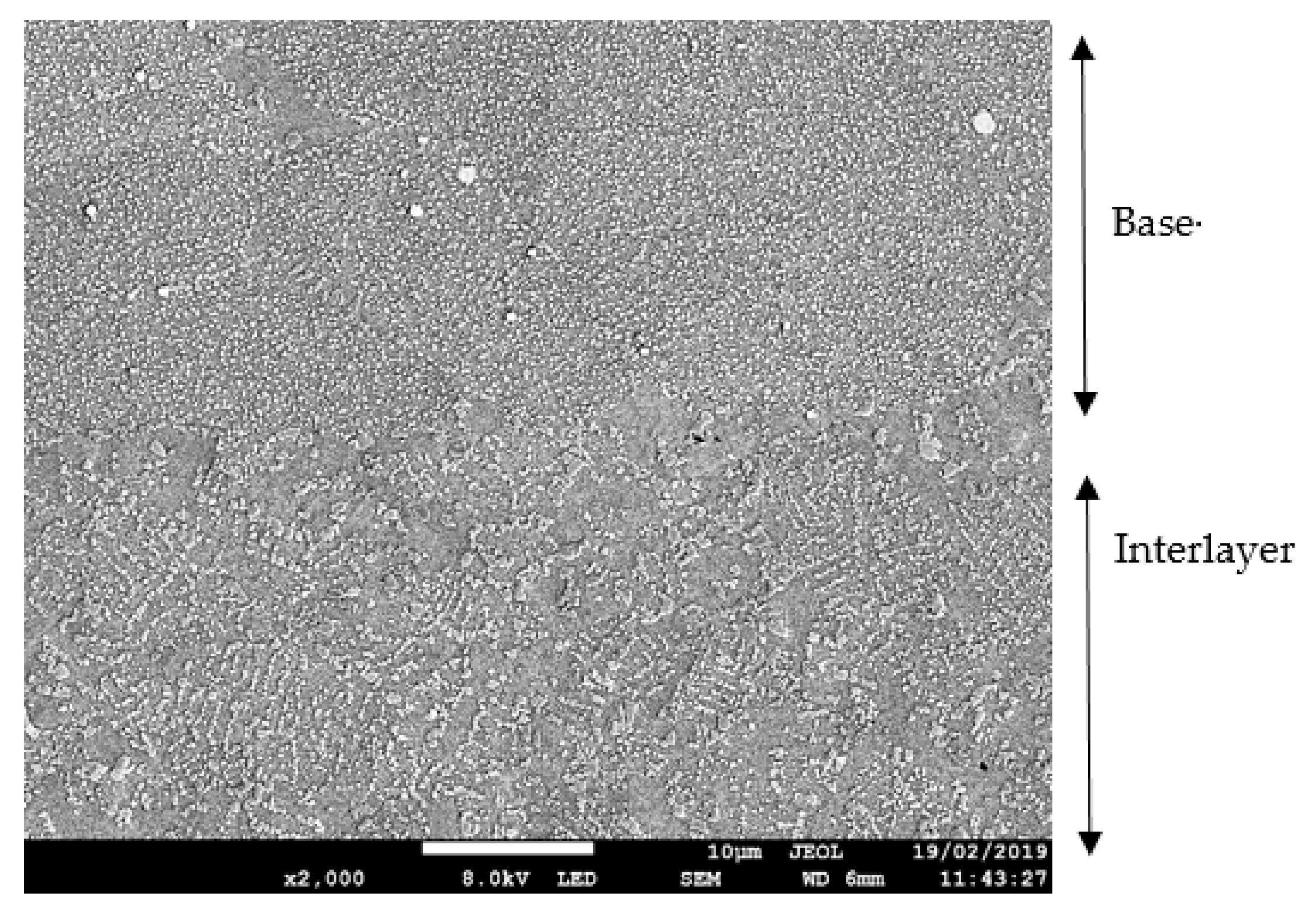 Materials 13 00601 g007