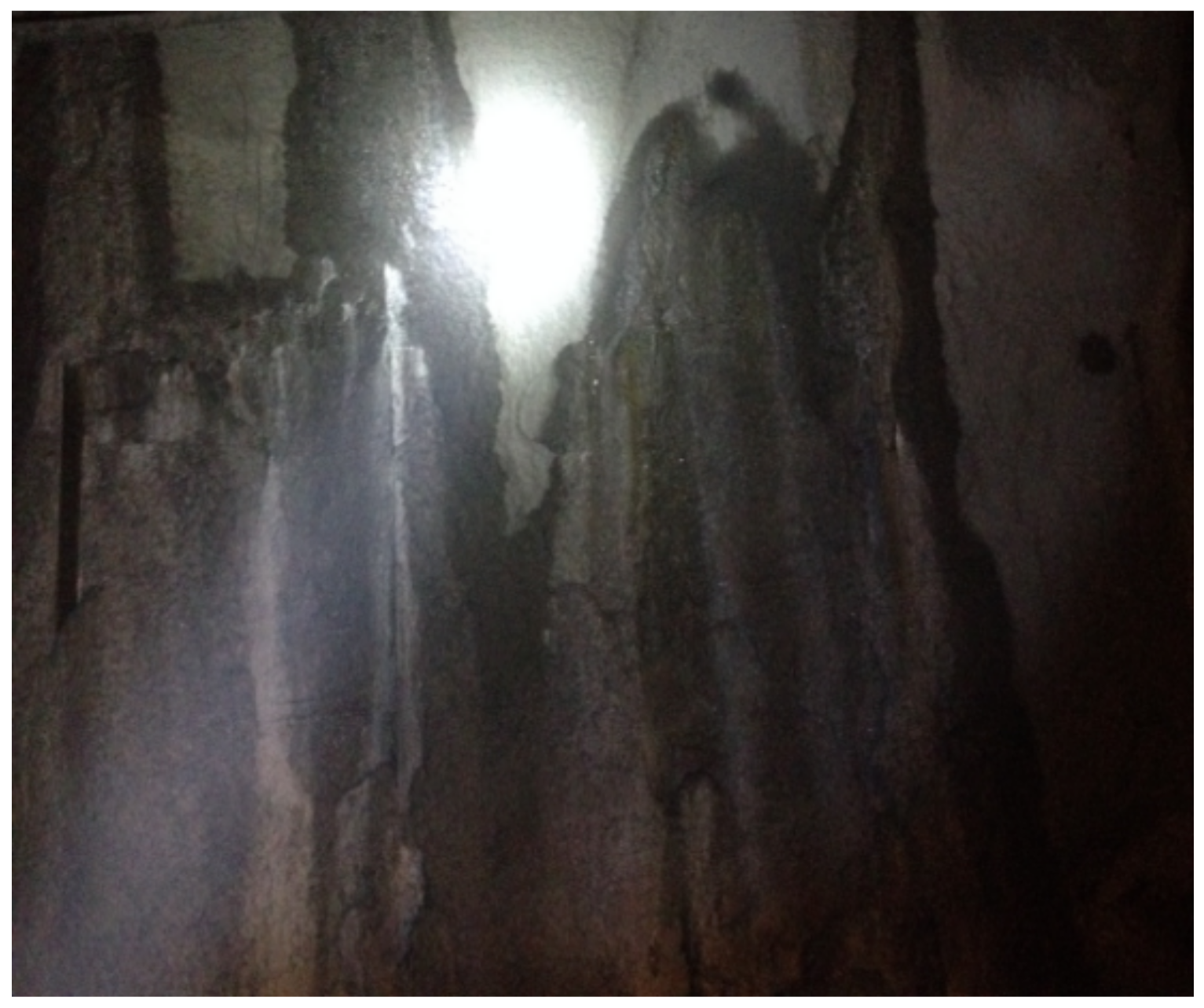 Materials 13 00605 g020