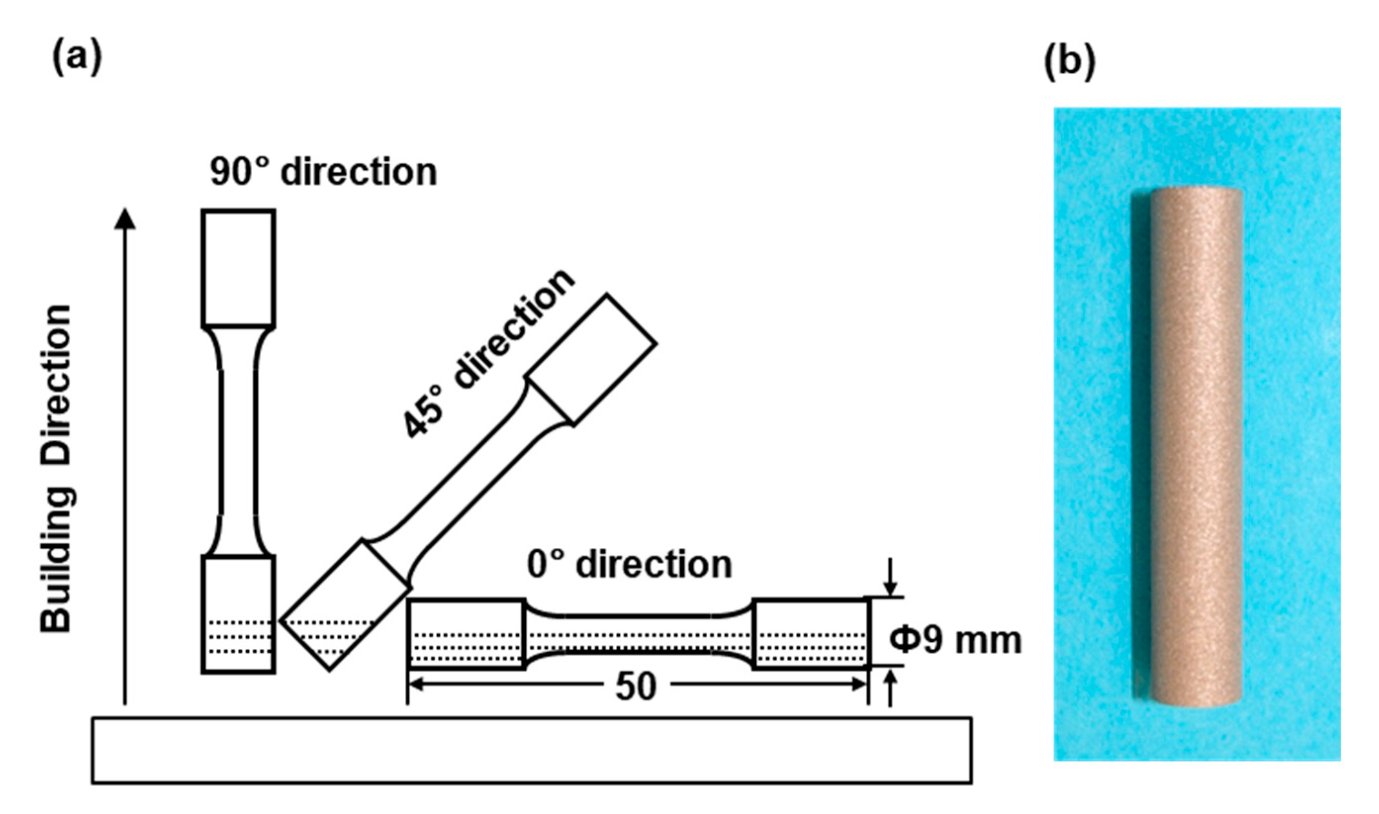Materials 13 00609 g001