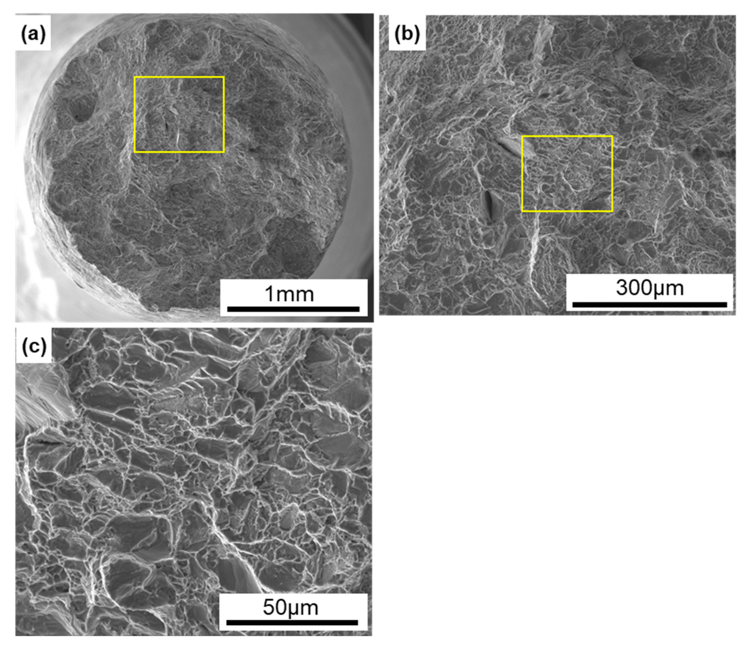 Materials 13 00609 g009