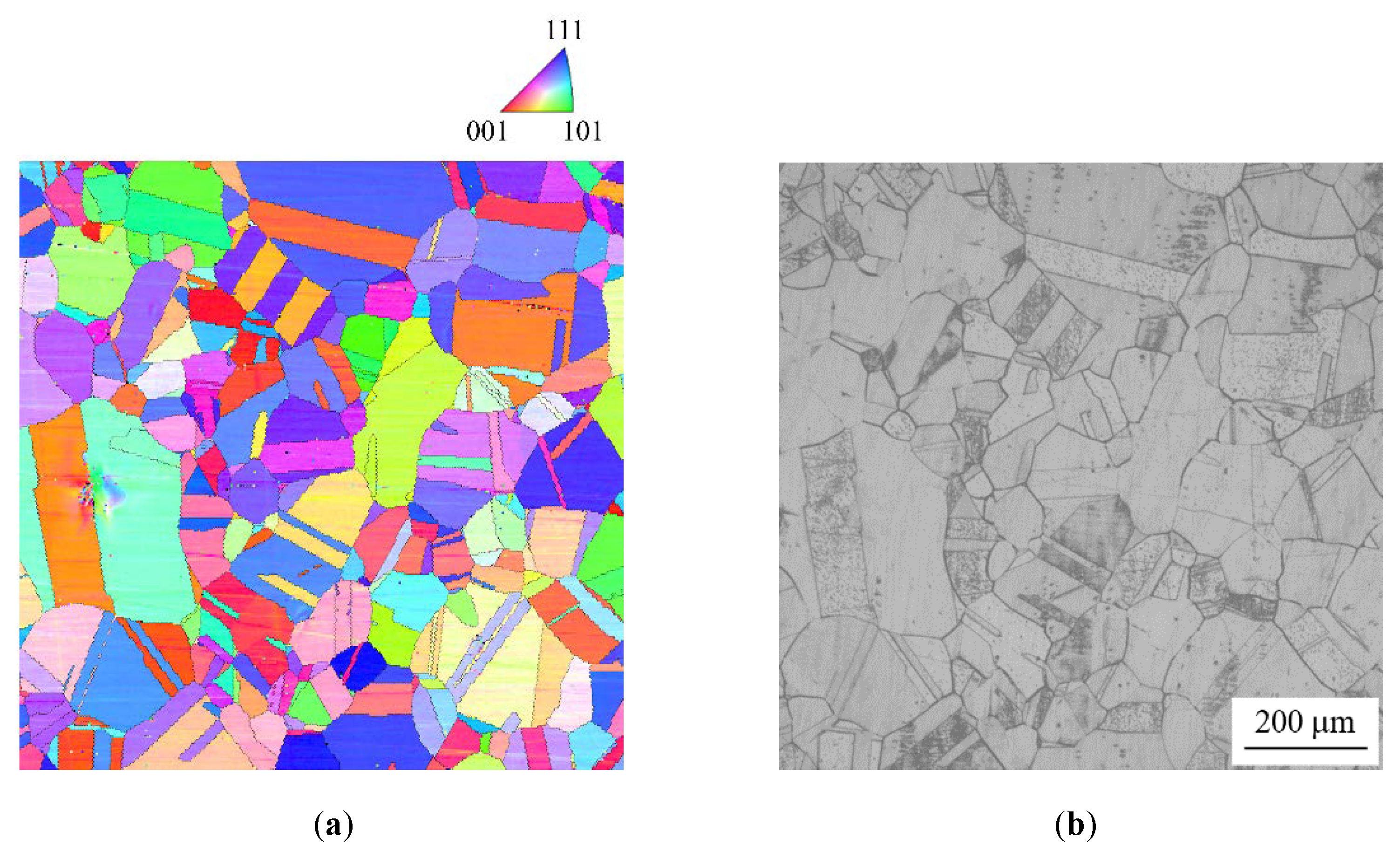 Materials 13 00613 g007 Materials 13 00613 g007