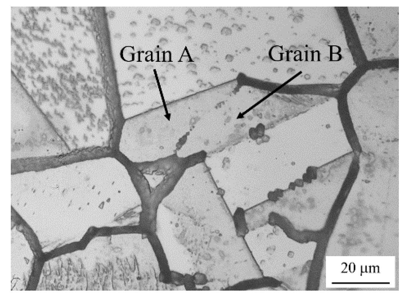 Materials 13 00613 g009 Materials 13 00613 g009