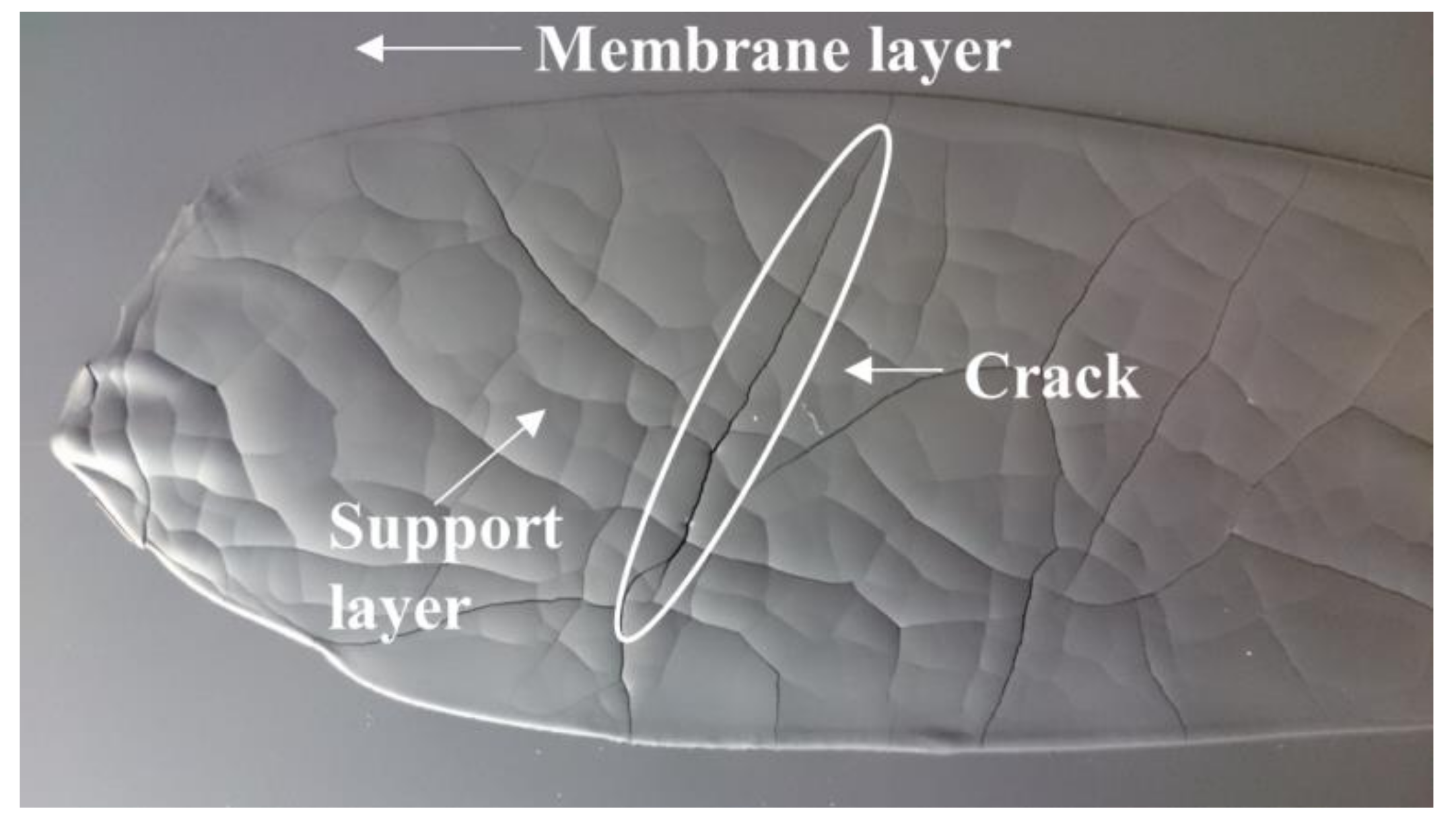 Materials 13 00614 g006 Materials 13 00614 g006