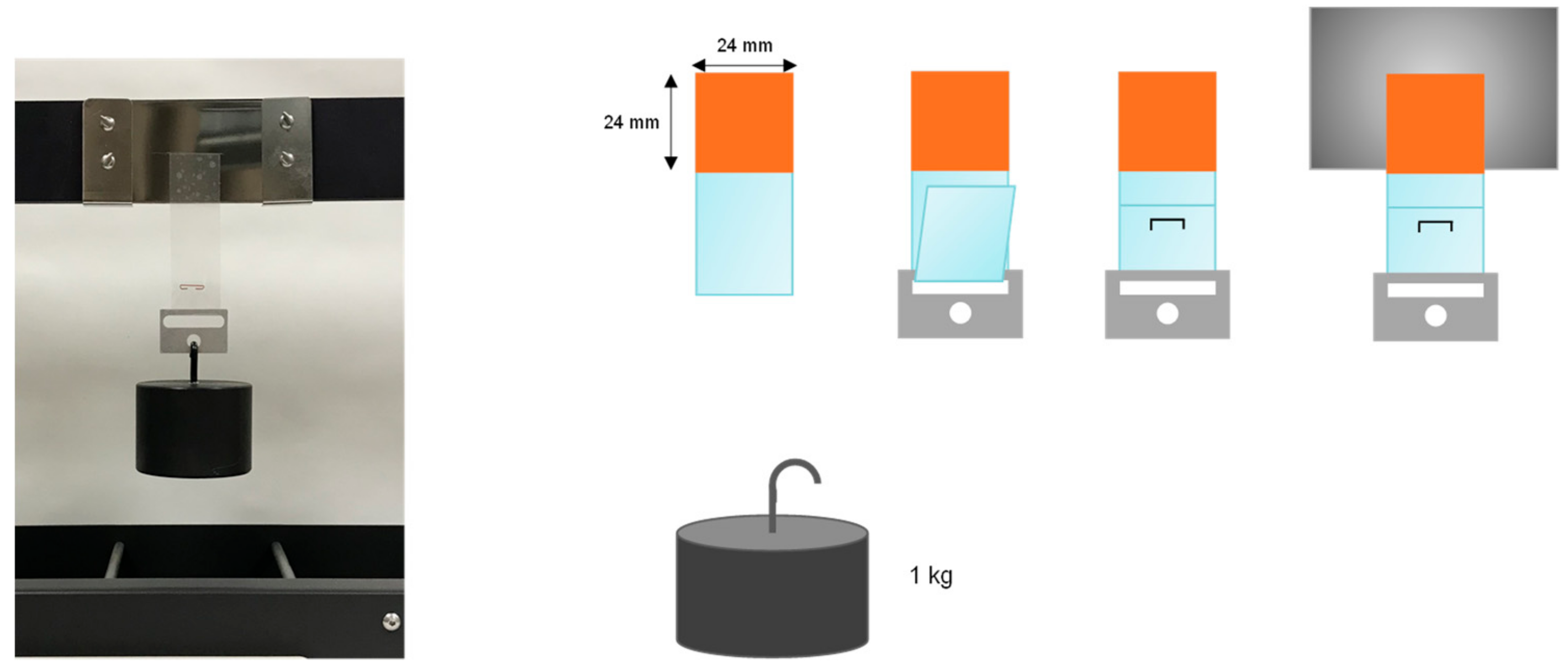 Materials 13 00627 g003