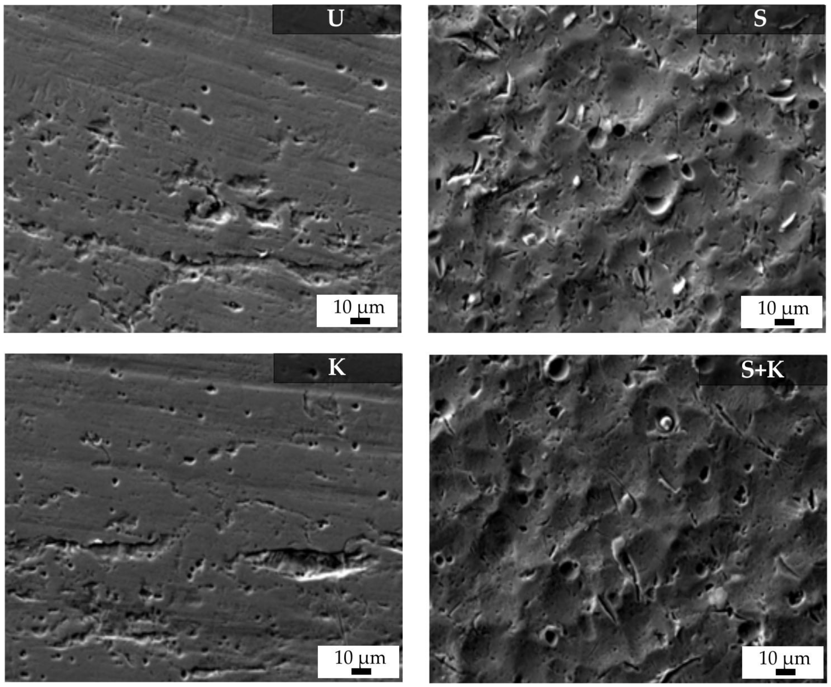 Materials 13 00629 g007