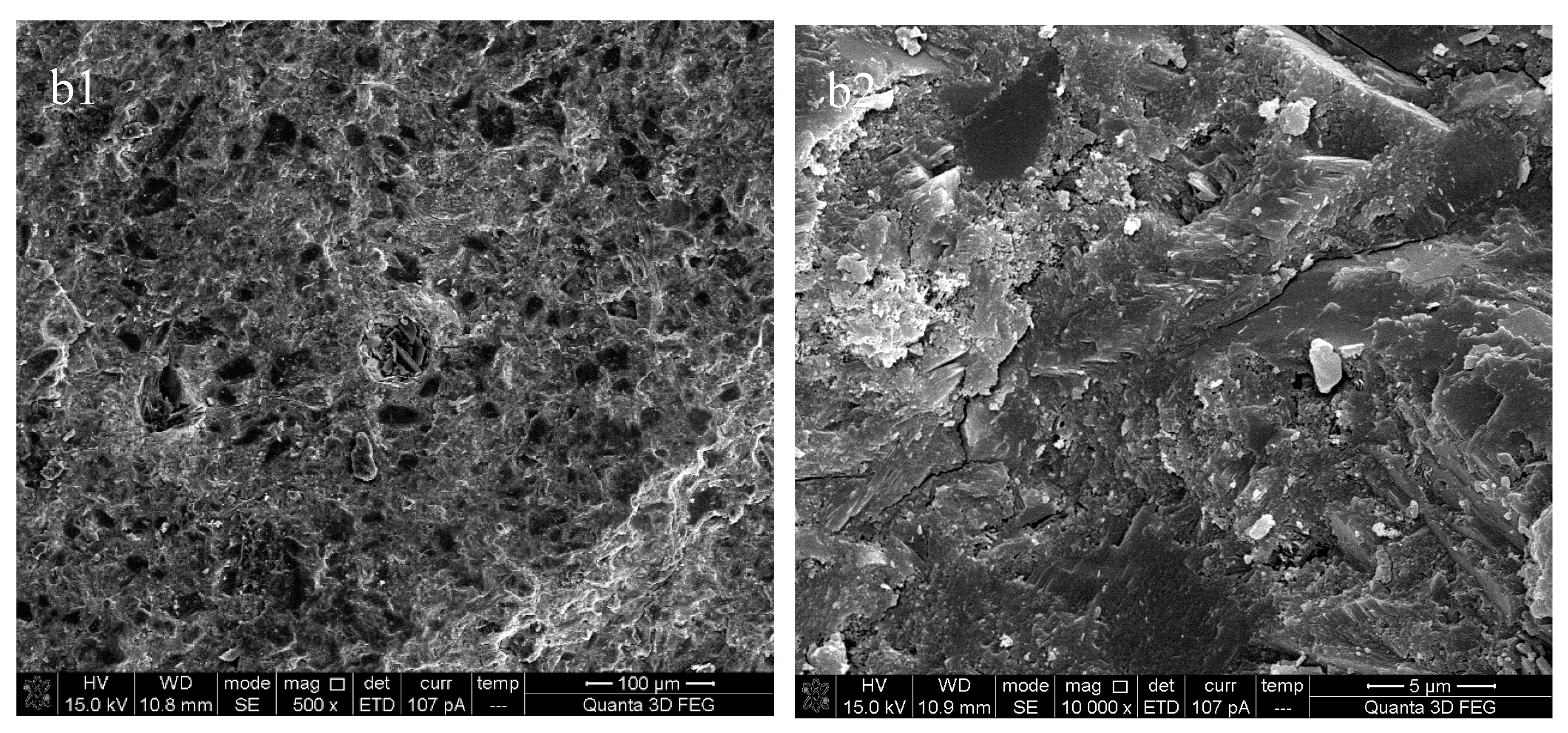 Materials 13 00646 g008b