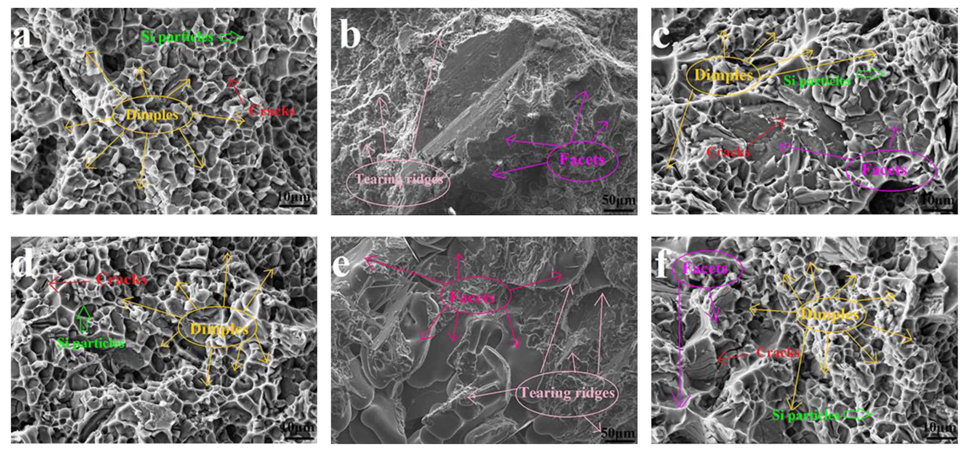 Materials 13 00647 g008 Materials 13 00647 g008