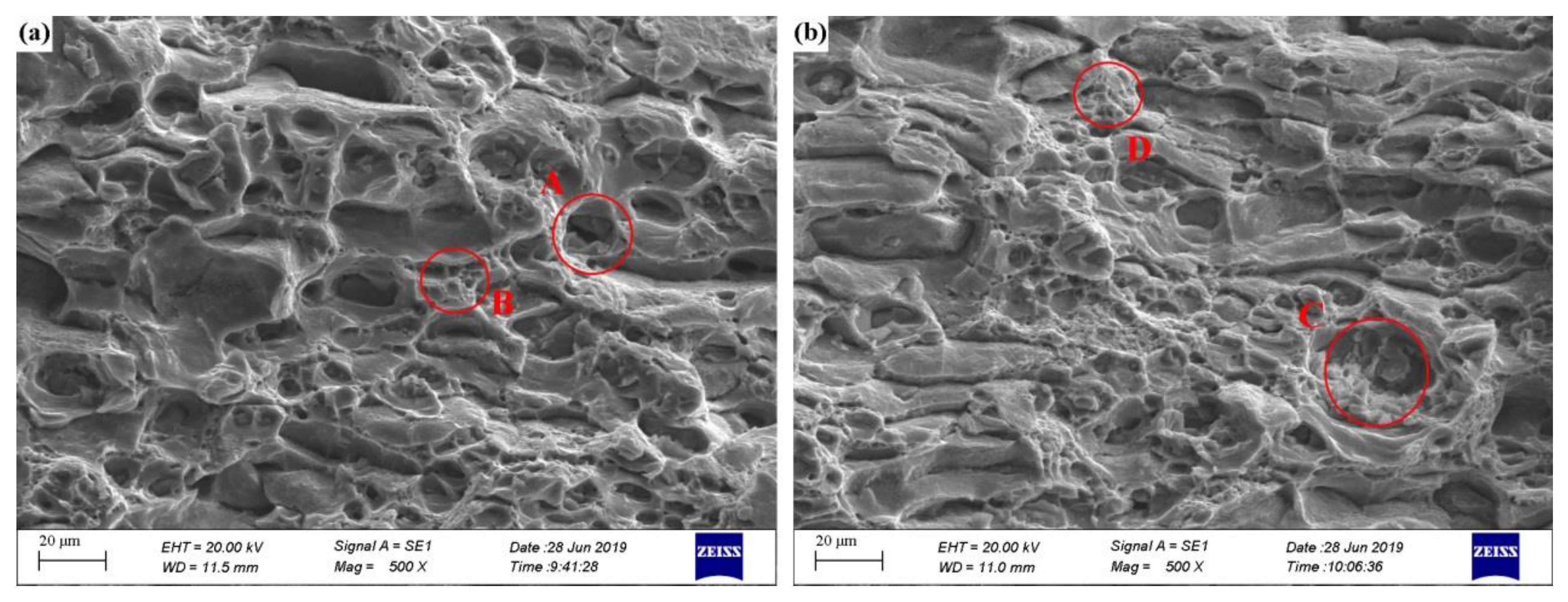 Materials 13 00650 g008