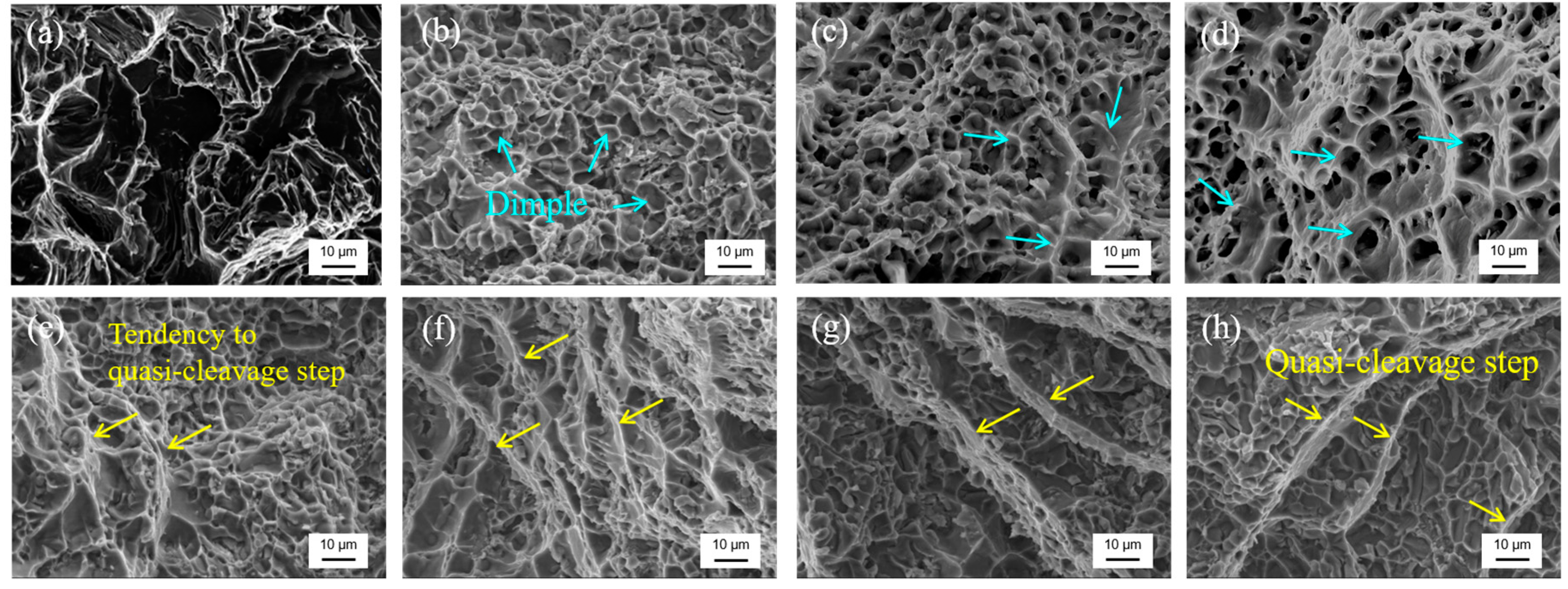 Materials 13 00665 g002