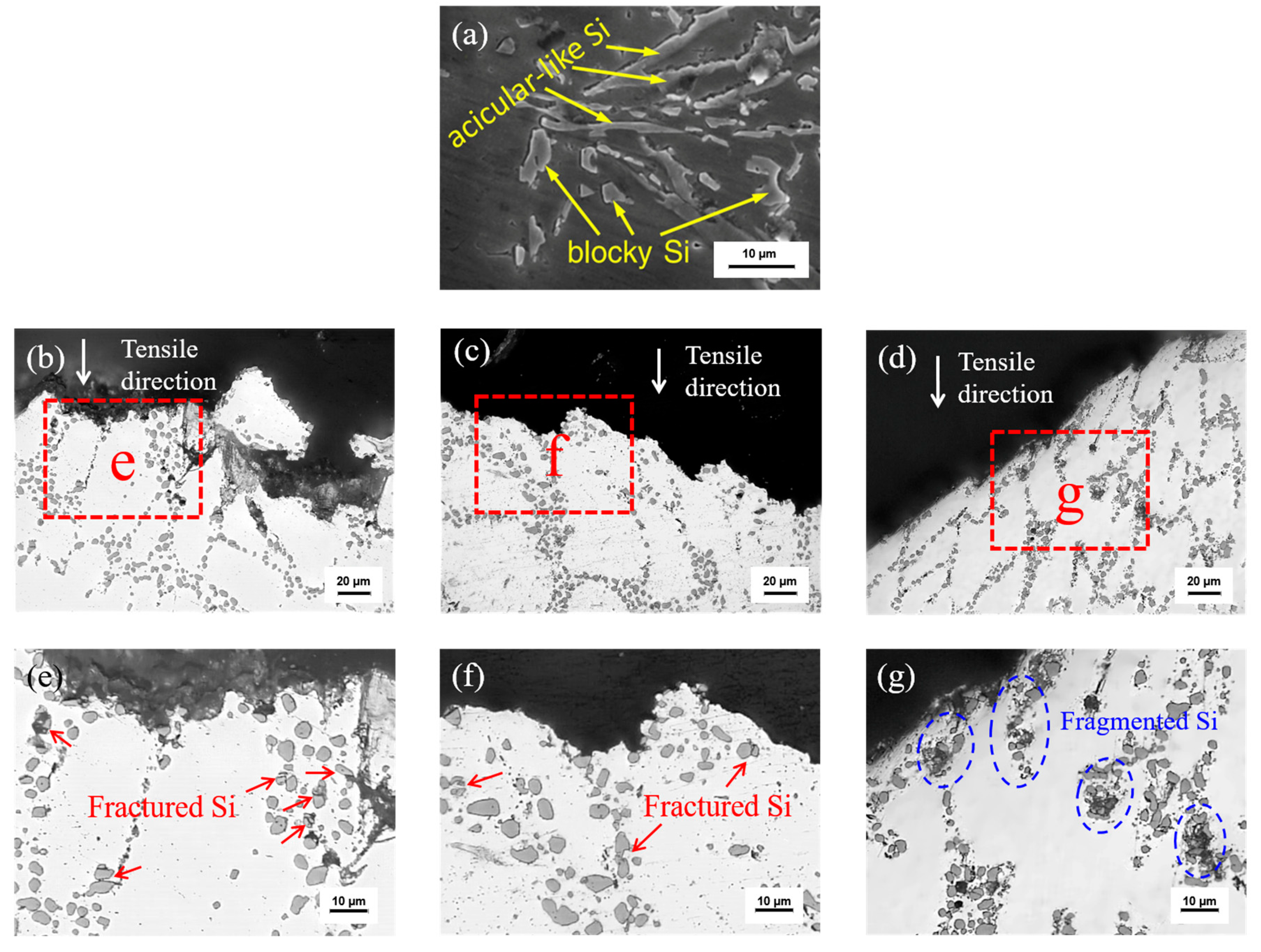 Materials 13 00665 g003