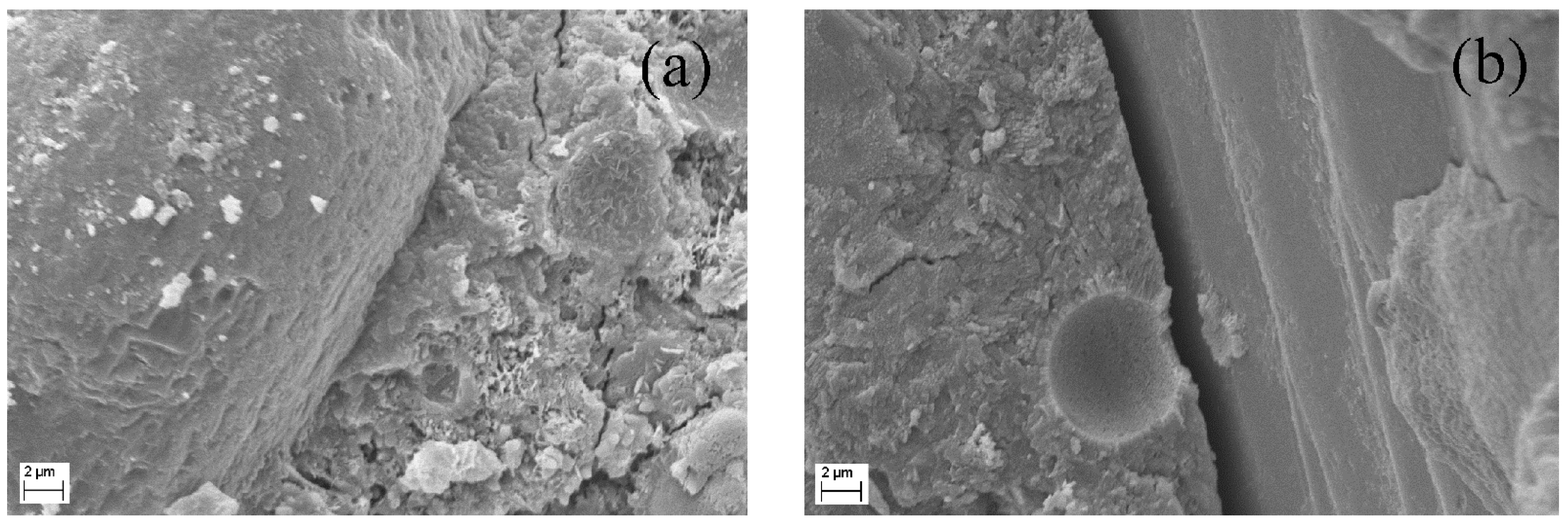 Materials 13 00679 g015