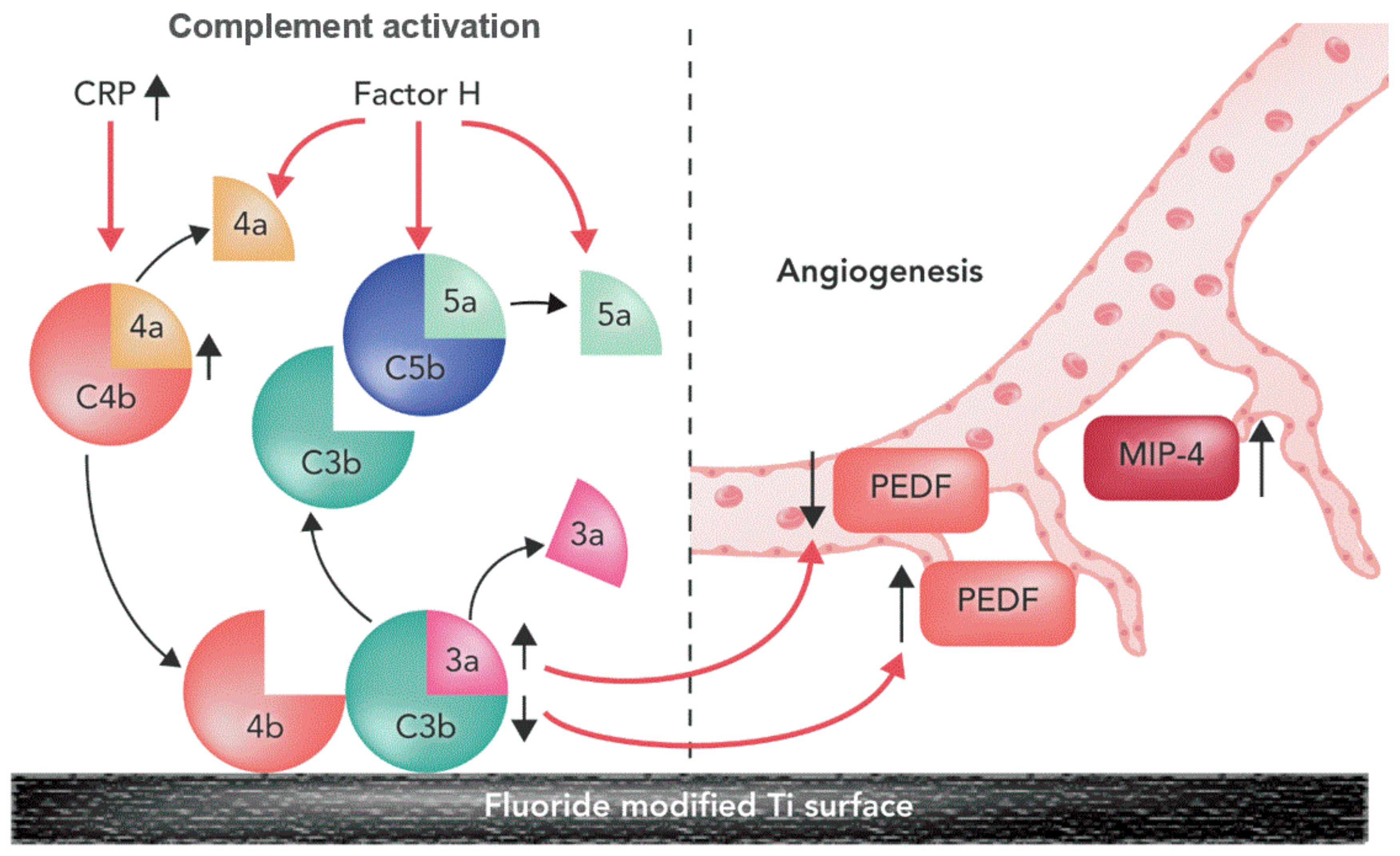 Materials 13 00684 g009