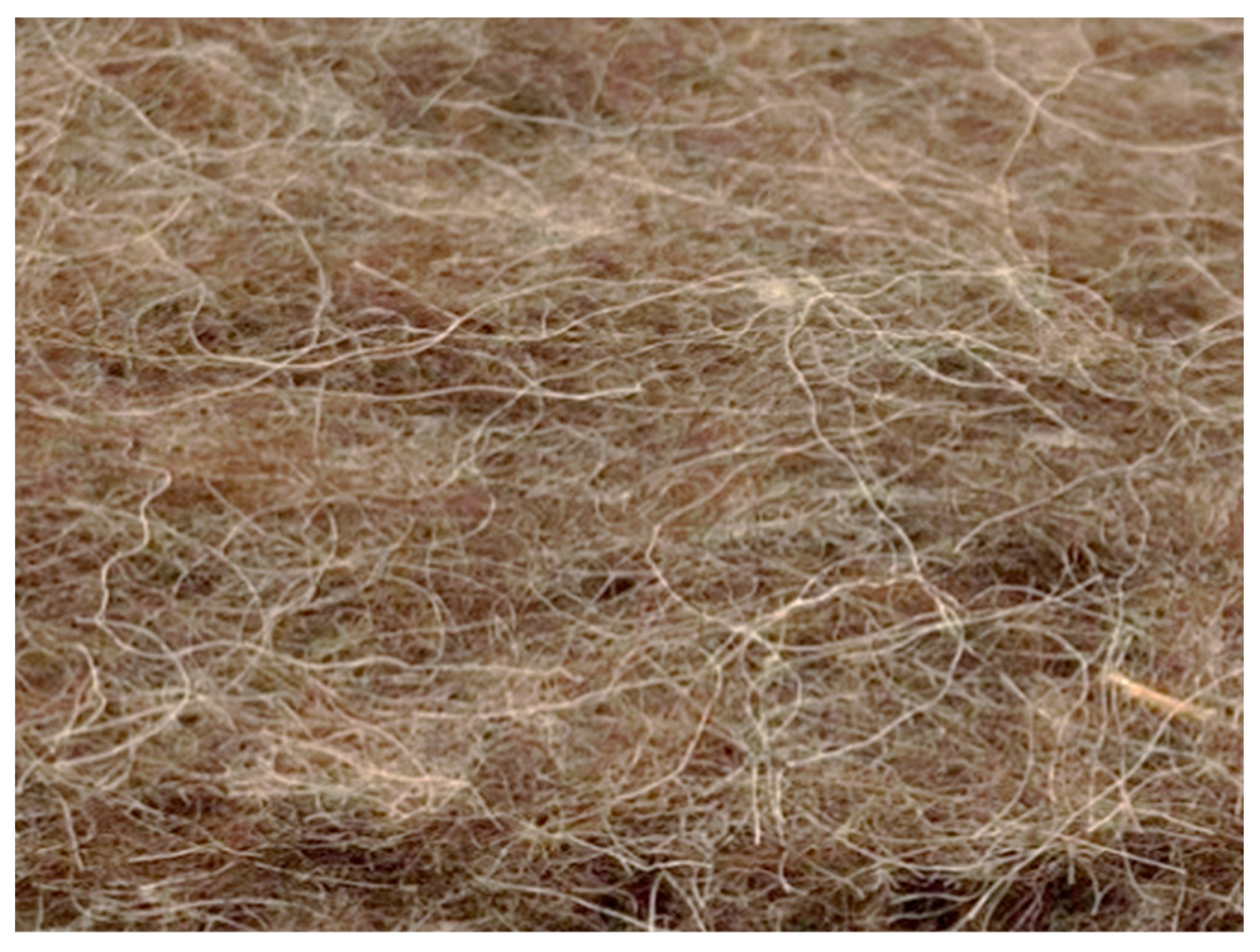 Materials 13 00694 g001