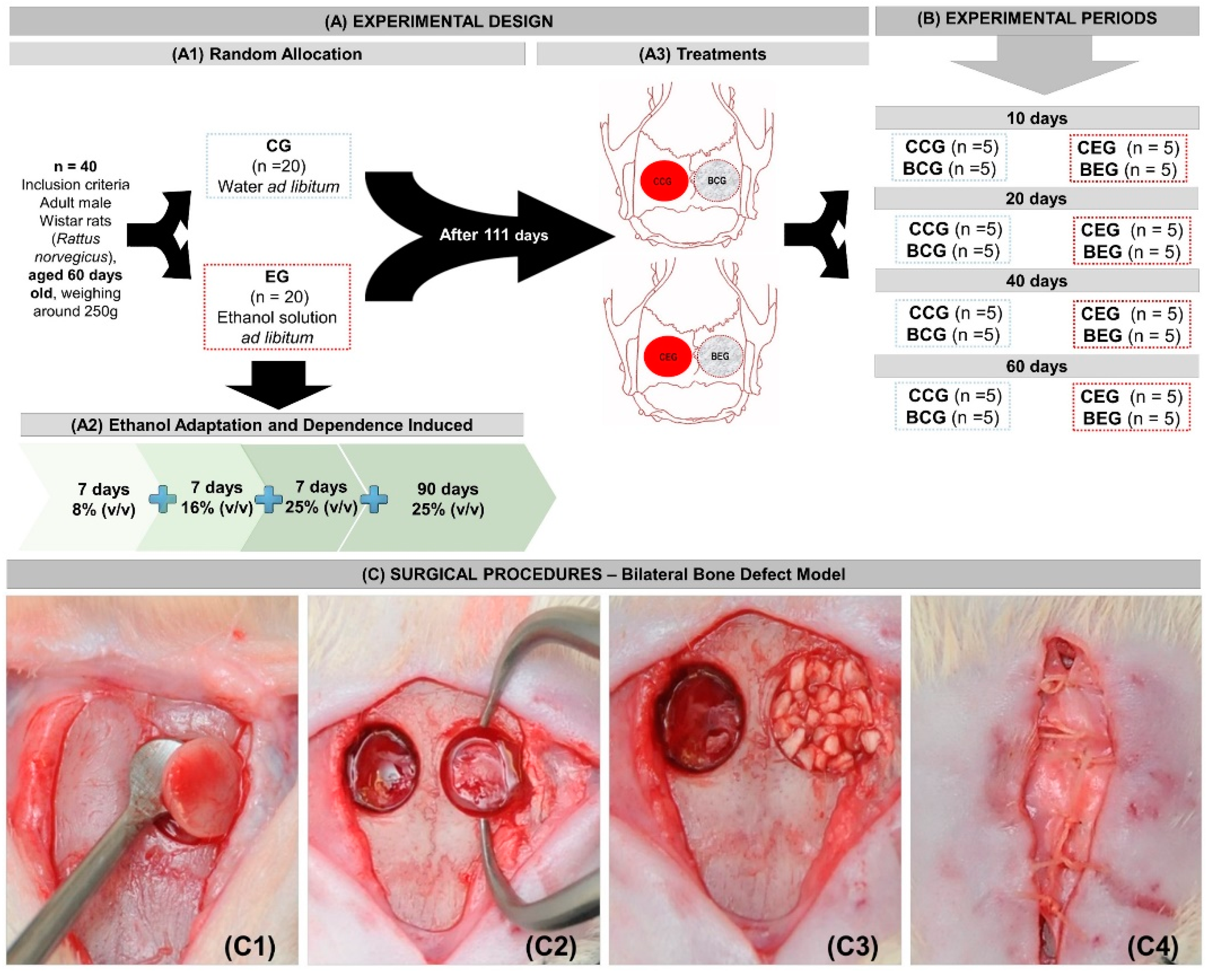 Materials 13 00695 g001