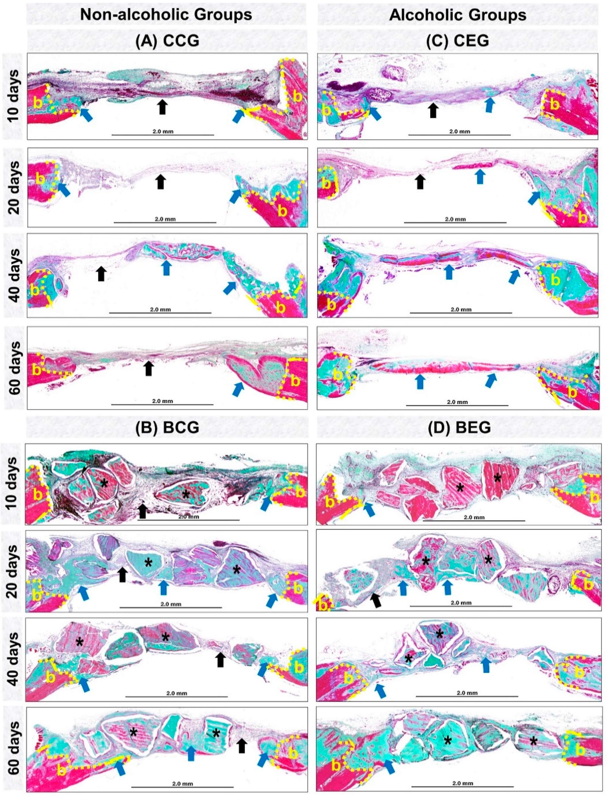 Materials 13 00695 g003