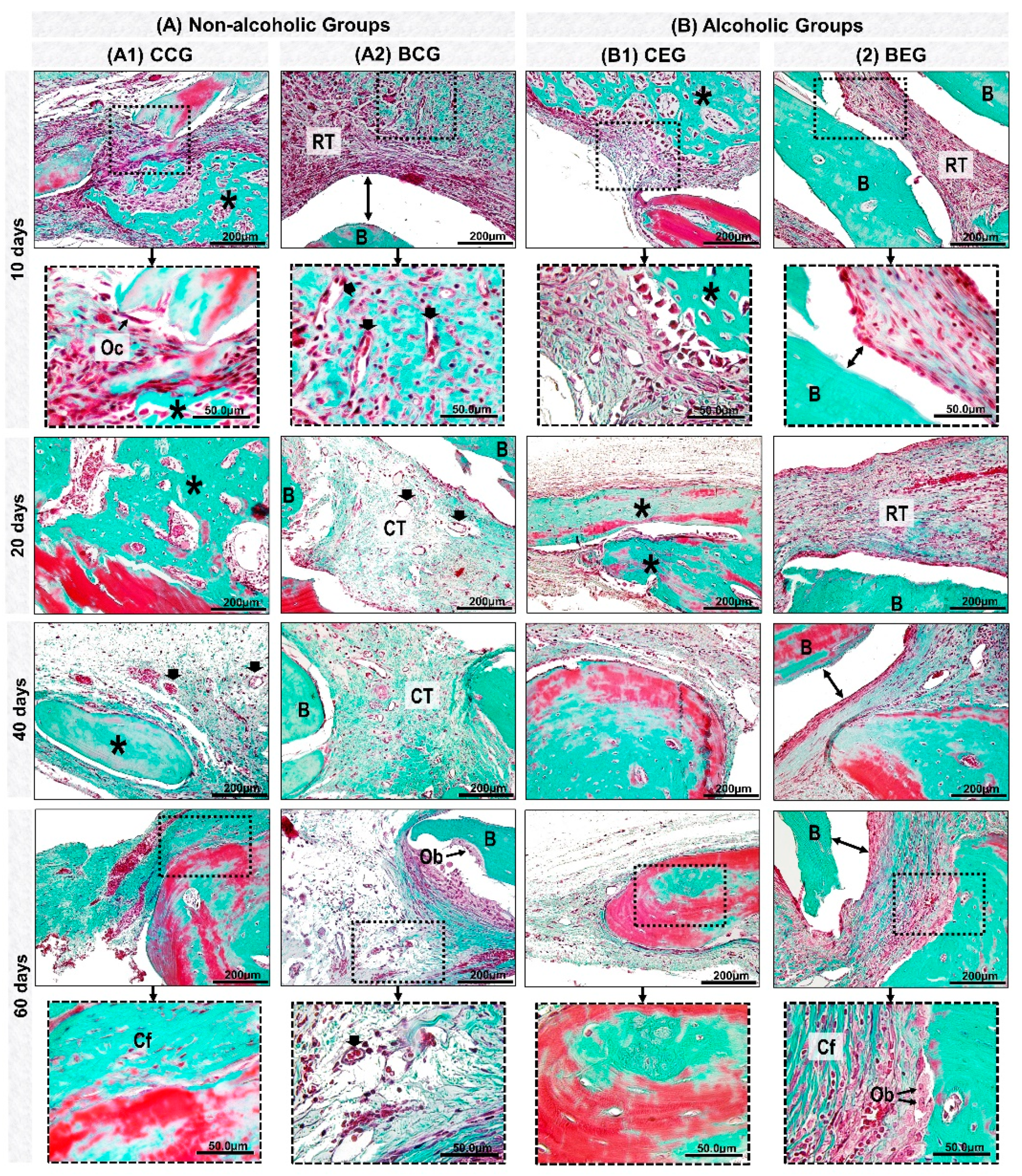 Materials 13 00695 g004