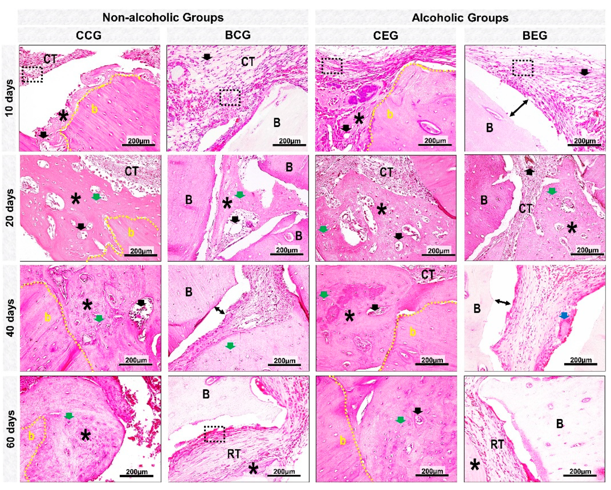 Materials 13 00695 g005